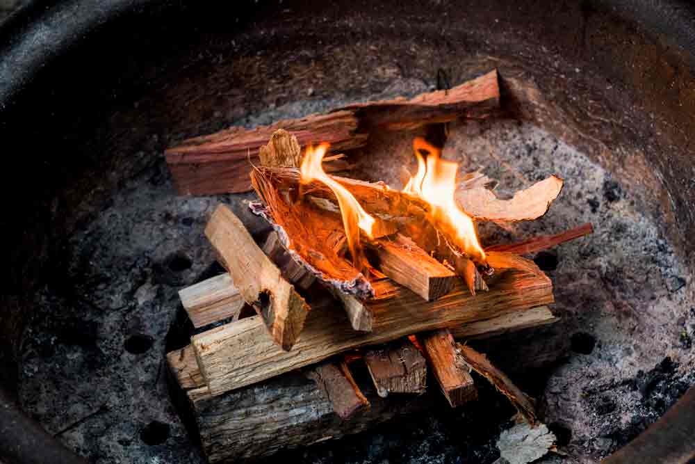 Wood You Should Avoid Burning in Your Fire Pit
